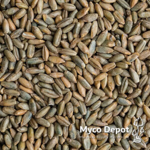 Organic Rye Berries - 50 lb. Bag