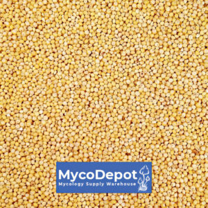 Organic Hulled Millet 50 lbs for growing mushrooms - MycoDepot