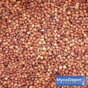 Milo grain growing medium for mushrooms - MycoDepot - Mycology Supply Warehouse