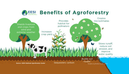 Agroforestry - Myco Depot - Mycology Supply Warehouse